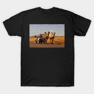 How many horse power is this T-Shirt